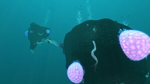 BloodKelpZone2 5.jpg