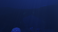 An immense bridge-like structure in the deeper part of the Bulb Zone