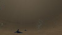 Deepest point of the biome