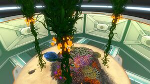Large Aquarium (6).jpg