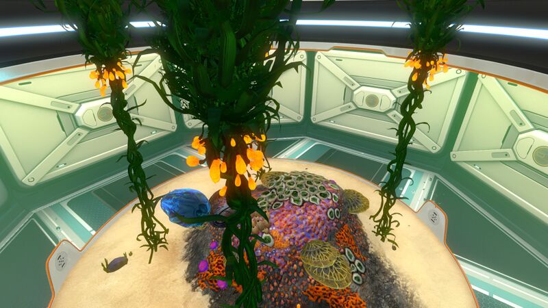 File:Large Aquarium (6).jpg