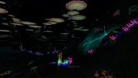 Bioluminescent plants in the Mushroom Forest at night