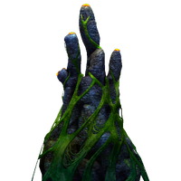 Pyrocoral Fauna.png