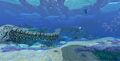 Thumbnail for version as of 07:58, 7 August 2021