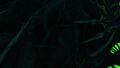 Hivemind Roots (presumably)