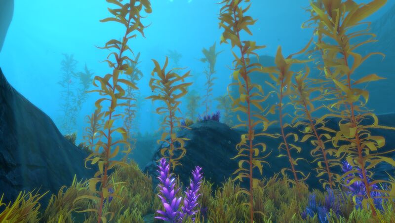 File:Arctic Kelp Forest thumb.jpg