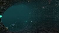 A pair of Blood Crawlers in a Northern Blood Kelp Cave