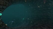 A pair of Blood Crawlers in a Northern Blood Kelp Cave