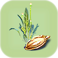 Purple Vegetable Plant Seed.png