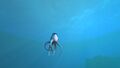 A Cute Fish propelling itself upward