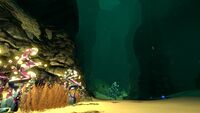 Multiple Eye Stalk with Spadefish eggs and a Holefish in the background in the Deep Sparse Reef.