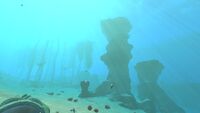 The transition between the Grassy Plateaus and the Kelp Forest