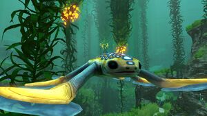 Hoverfish3.jpg