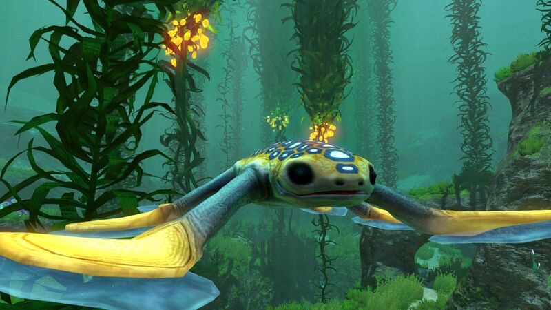 File:Hoverfish3.jpg