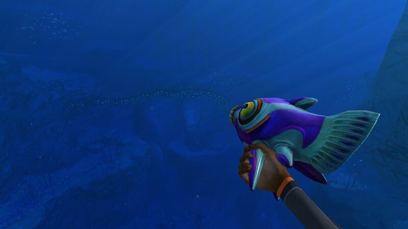 File:Nootfish In Hand.jpg