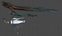 A size compasison from Sea Emperor Leviathan to Sea Treader Leviathan