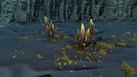 A group of the Spotted Reeds Relative in the Thermal Spires