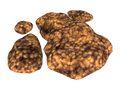 Thumbnail for version as of 07:46, 7 August 2021