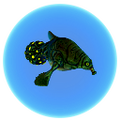 Thumbnail for version as of 01:19, 23 May 2017