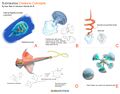 Thumbnail for version as of 06:01, 7 August 2021