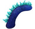 Thumbnail for version as of 13:35, 6 September 2017