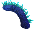 Thumbnail for version as of 02:49, 7 August 2021