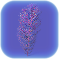 Thumbnail for version as of 00:06, 2 October 2017