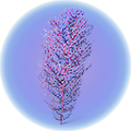 Thumbnail for version as of 22:36, 22 April 2019