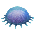 Thumbnail for version as of 02:23, 7 February 2018