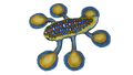 Thumbnail for version as of 15:26, 20 September 2015