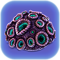 Thumbnail for version as of 00:06, 2 October 2017