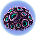 Thumbnail for version as of 22:34, 22 April 2019
