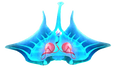 Thumbnail for version as of 10:07, 30 September 2016