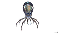 Thumbnail for version as of 03:31, 19 March 2016