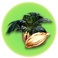 Thumbnail for version as of 13:13, 2 May 2017