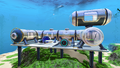 Thumbnail for version as of 08:44, 2 June 2015