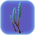 Thumbnail for version as of 00:06, 2 October 2017