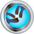 Thumbnail for version as of 01:39, 26 July 2015