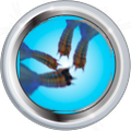 Thumbnail for version as of 01:41, 26 July 2015