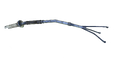 Thumbnail for version as of 19:56, 5 September 2016