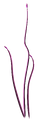 Thumbnail for version as of 01:12, 7 August 2021