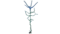 Thumbnail for version as of 21:09, 29 January 2017