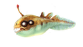 Thumbnail for version as of 22:07, 6 October 2015