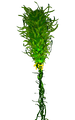Thumbnail for version as of 16:53, 3 April 2017