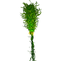 Thumbnail for version as of 17:00, 3 April 2017