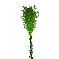 Thumbnail for version as of 13:46, 5 April 2017