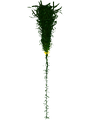 Thumbnail for version as of 00:20, 8 September 2017