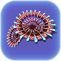 Thumbnail for version as of 00:06, 2 October 2017