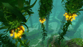 Thumbnail for version as of 01:01, 13 April 2015