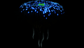 Thumbnail for version as of 20:52, 13 September 2017
